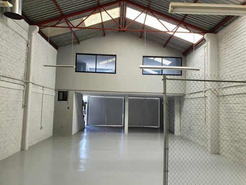 Imagen 2 de 11 de Bodega Comercial Céntrica Muy Cerca De Tec100