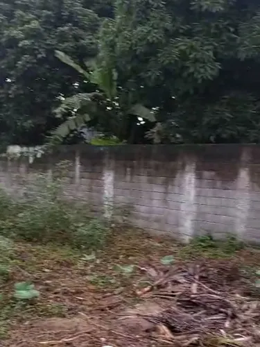 Terreno Plano, Pronto Para Construir!