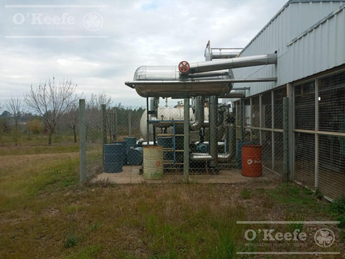 Imagen 23 de 30 de Planta De Acondicionamiento Y Frio En Venta En Concordia Entre Rios - Oportunidad
