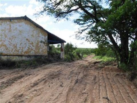 Imagem 3 de 4 de Terreno Residencial À Venda, Brigadeiro Tobias, Sorocaba - Te2913. - Te2913
