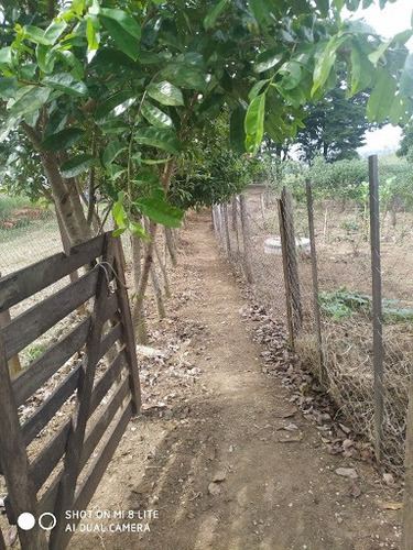 Imagem 3 de 5 de Oportunidade De Chácara No Boa Vista Em Caçapava - Ch0040