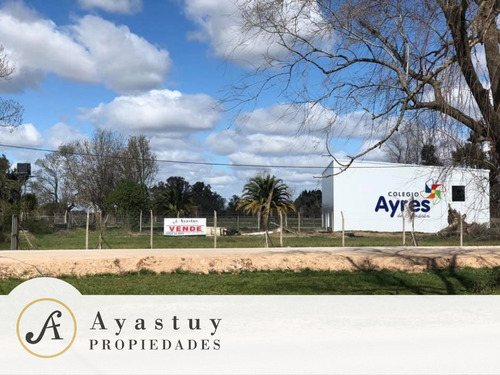 Imagen 1 de 1 de Terreno Destino Comercial Sobre R 215 - Brandsen