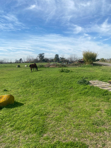 Impresionante En Venta En Canning 75 Has Cerca De Brickland