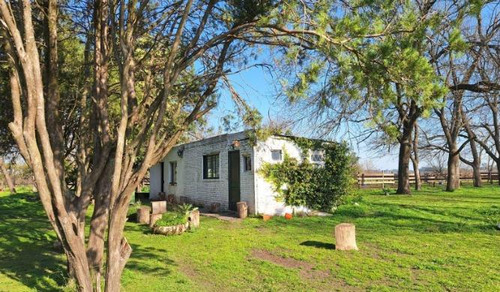 Campo En Venta - 2 Dormitorios 1 Baño - 12.000mts2 - Exaltación De La Cruz
