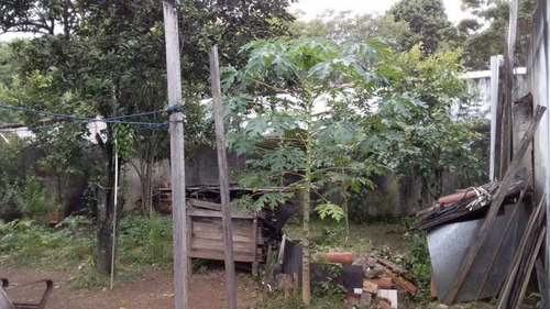 Imagem 6 de 15 de Casa De Rua-à Venda-taquara-rio De Janeiro - Peca20004