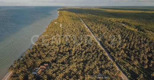 Imagen 19 de 30 de Lotes Residenciales De 200m2 En Telchac Puerto, Yucatán