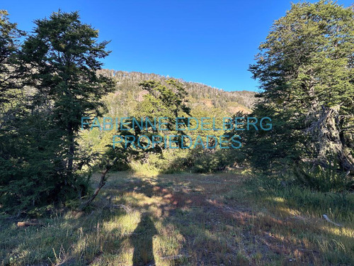 Terreno Vistas Únicas De 6000 M2 Con Proyecto Valle Escondido - San Martin De Los Andes