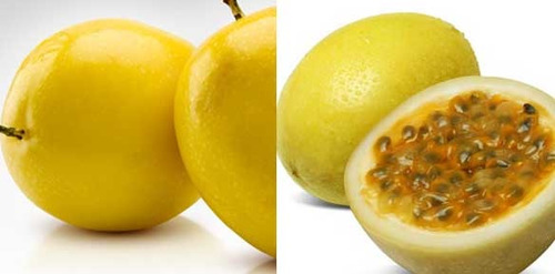 Planta De Maracuyá (50cm)- Mburucuyá (el De Fruta Amarilla)