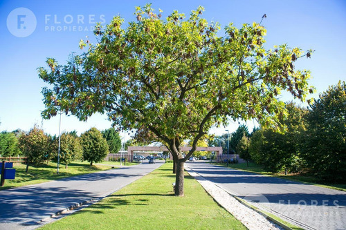 Flores Prop. Vende Lote En Ayres De Pilar