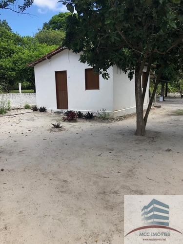 Imagem 16 de 16 de Granja A Venda Em Macaíba