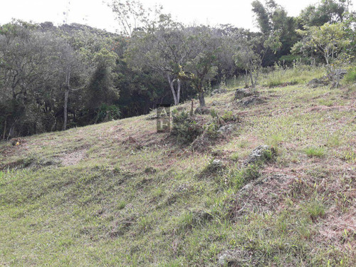 Imagem 9 de 19 de Terreno Para Venda Em Ferraz Garopaba-sc - Tv246