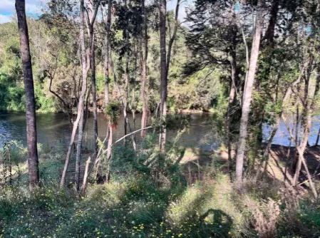Preciosa Parcela Con 90 Metros De Orilla De Río