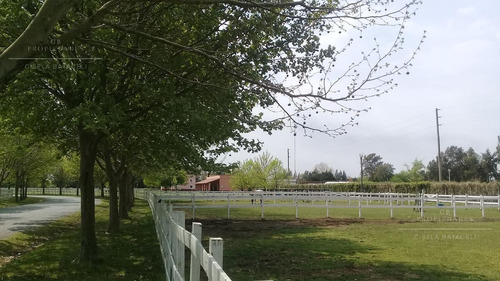 Imagen 14 de 14 de Gb Propiedades- Excelente Lote En Venta!!