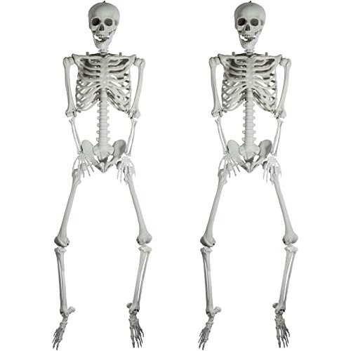 5.4ft Halloween Human Skeletons Full Body Bones With Mo...
