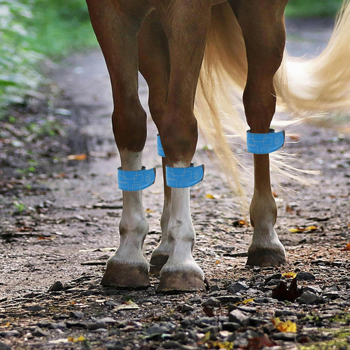 Tobilleras Led Para Caballos, 4 Unidades, Ajustables Para Pi
