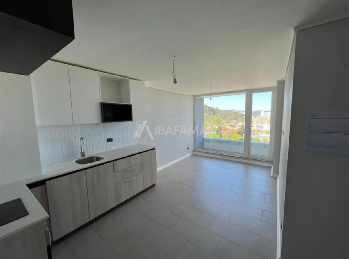Imagen 2 de 29 de Departamento En Venta De 2 Dorm. En Concepción