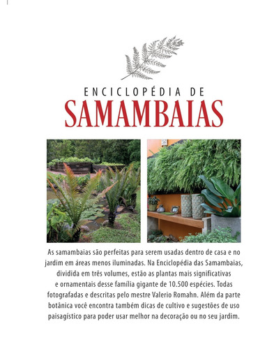 Enciclopédia de Samambaias - Volume 2, de Romahn, Valerio. Editorial Editora Europa Ltda., capa mole em português, 2021