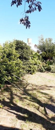 Imagen 11 de 12 de Casa De 5 Ambientes A Refaccionar En Venta - Moron Sur