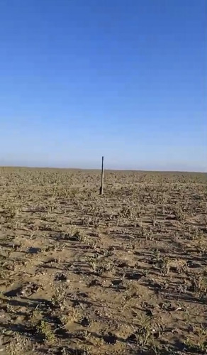 Terreno Cercano A Punta De Choros 5.000m2
