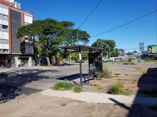 Alquiler Local Comercial En Parque Batlle