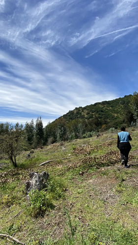 El Aire Que Respiras, El Futuro Que Construyes.