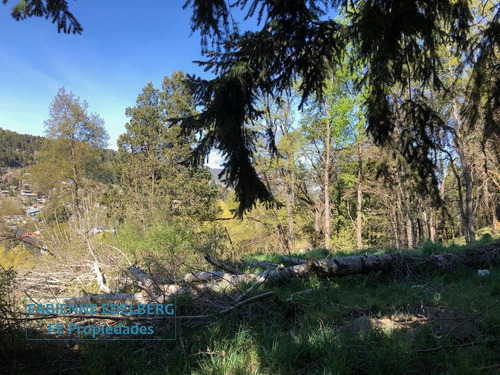 Imagen 30 de 30 de Terreno Apto Desarrollo Lote Centro 6686 M2 - San Martin De Los Andes