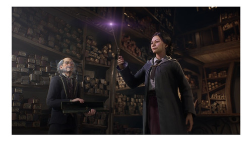 Hogwarts Legacy Standard Edition Warner Bros. PS4 Físico