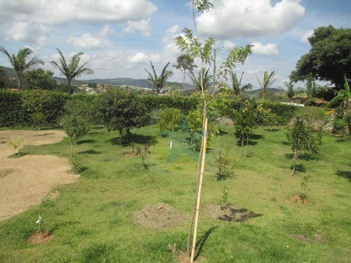 Chácara Residencial À Venda, Chácaras Fernão Dias, Atibaia - Ch0874. - Ch0874