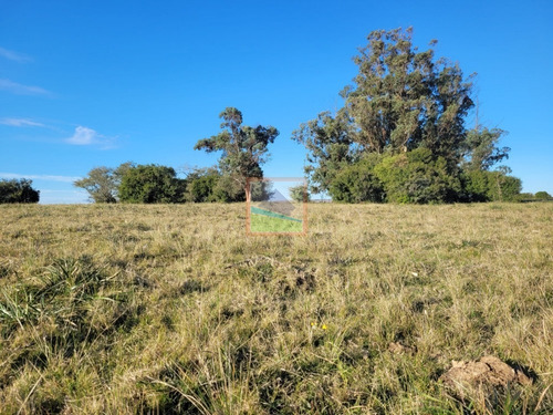 Imagen 4 de 11 de Campo 67 Hás Zona Pueblo Edén