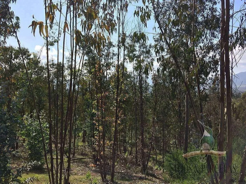 F-190 Valle Alegre, Quintero, 20.000m2