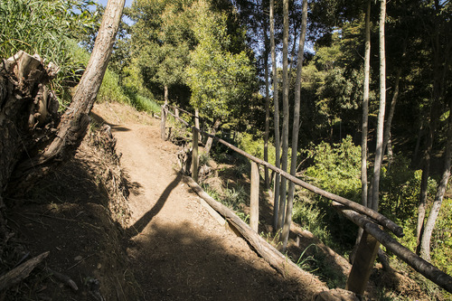 Reserva Natural En Punta De Lobos