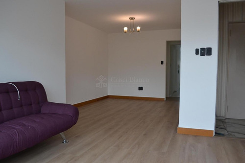Venta Apartamento Penthouse 3 Dormitorios Punta Carretas Ref 784
