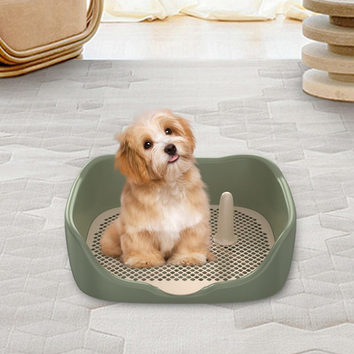 Inodoro Para Perros, Soporte Para Almohadillas De