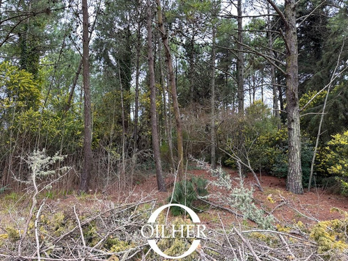 Lote En Venta! Zona Golf Ubicado En Cariló. Ñandu Y Gomero.