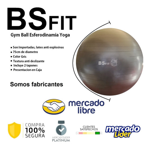 Imagen 2 de 10 de Pelota Esferodinamia De 75 Cm + Inflador Fit Gym Ball Pilates Yoga