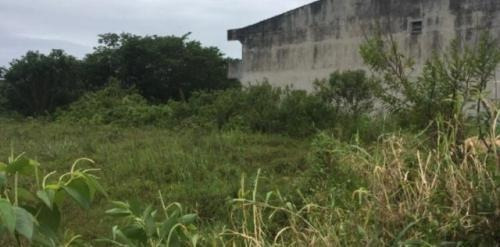 Terreno De Chácara Em Itanhaém Com 1000m² Total 7884