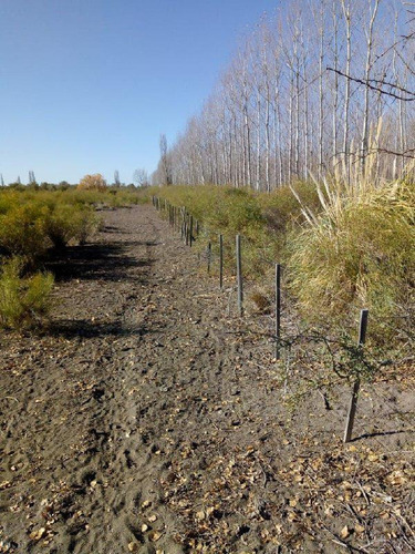 Imagen 22 de 26 de Venta Campo 103 Ha General Alvear