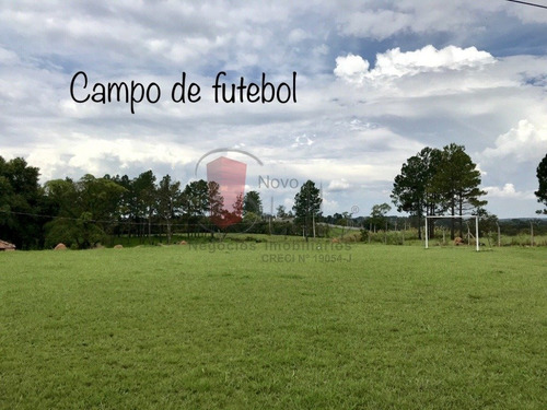 Imagem 12 de 15 de Chacara - Melissa - Ref: 10925 - L-10925