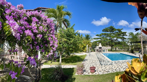 Area De Piscina Por Pasadia, Reunión Familiar