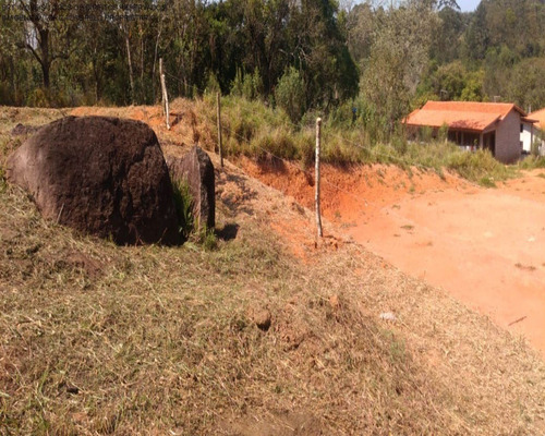 Imagem 10 de 11 de Terreno - Te00147 - 68899696