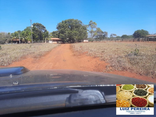 Imagem 6 de 15 de Fazenda Venda Em Pium - To - De 186 Alqueirões (dupla Aptidão) - 1478