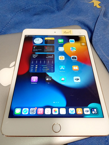 Apple Ipad Mini 4a Generacion 16gb Dorada Dorado (Usado)