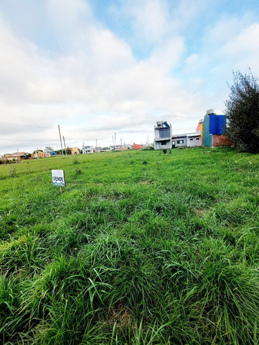 Lote De 405 M² En Camet Norte