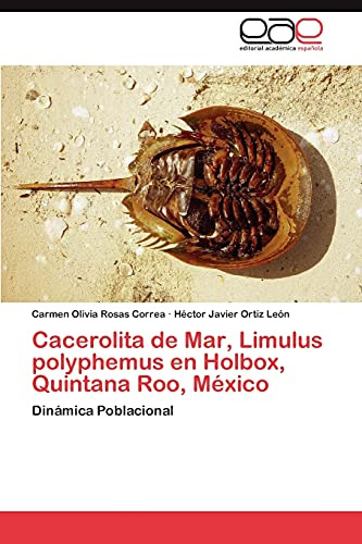 Cacerolita De Mar, Limulus Polyphemus En Holbox, Quintana Ro