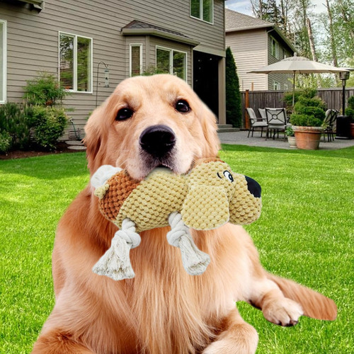 Juguetes De Peluche Para Masticar Cachorros Juguetes Para Ma