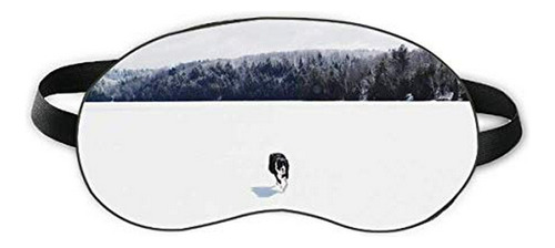 Cuidado De Ojos - Perro Mascota Animal Nieve Foto Sueño Ojo 