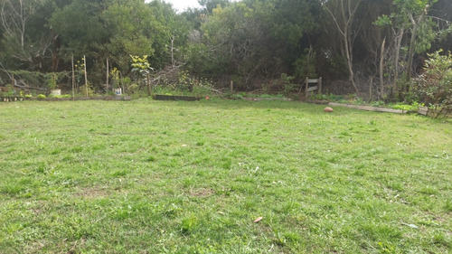Imagen 3 de 11 de Casa La Serena 6 Personas Por Día/semana/quincena, Alta Y Baja Temporada
