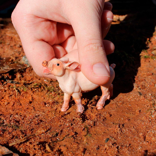 Figura De Cerdito Safari Ltd. 5,08 Cm Juguete Educativo