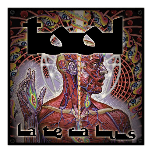 #490 - Cuadro Vintage 30 X 30 Tool Lateralus Poster Música 