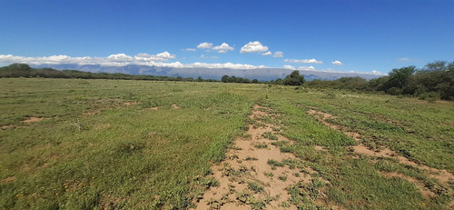 Imagen 11 de 14 de Se Vende Campo En La Paz A Metros De Ruta 148